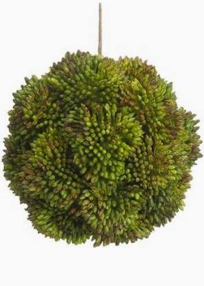 4" Sedum Orb